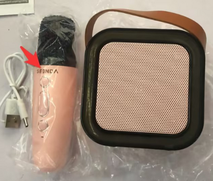 Mini Karaoke Speaker with Wireless Mics